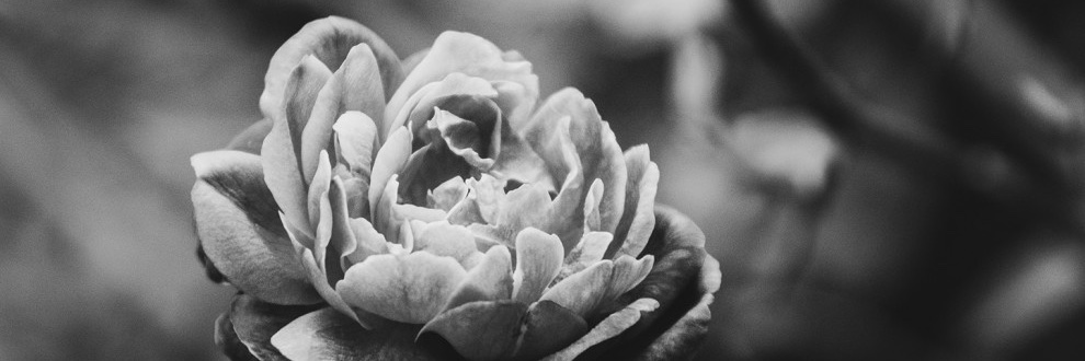 a305828333's profile banner image