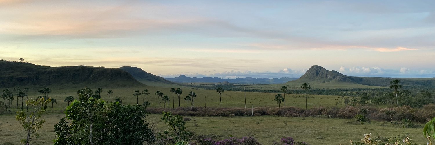 edilsonfborges's profile banner image