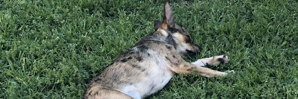 WalkerATX Profile Banner