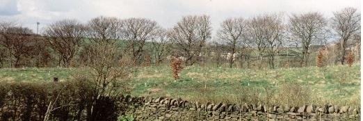 richardehowarth's profile banner image