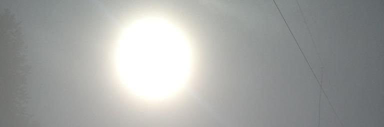florentintheair's profile banner image