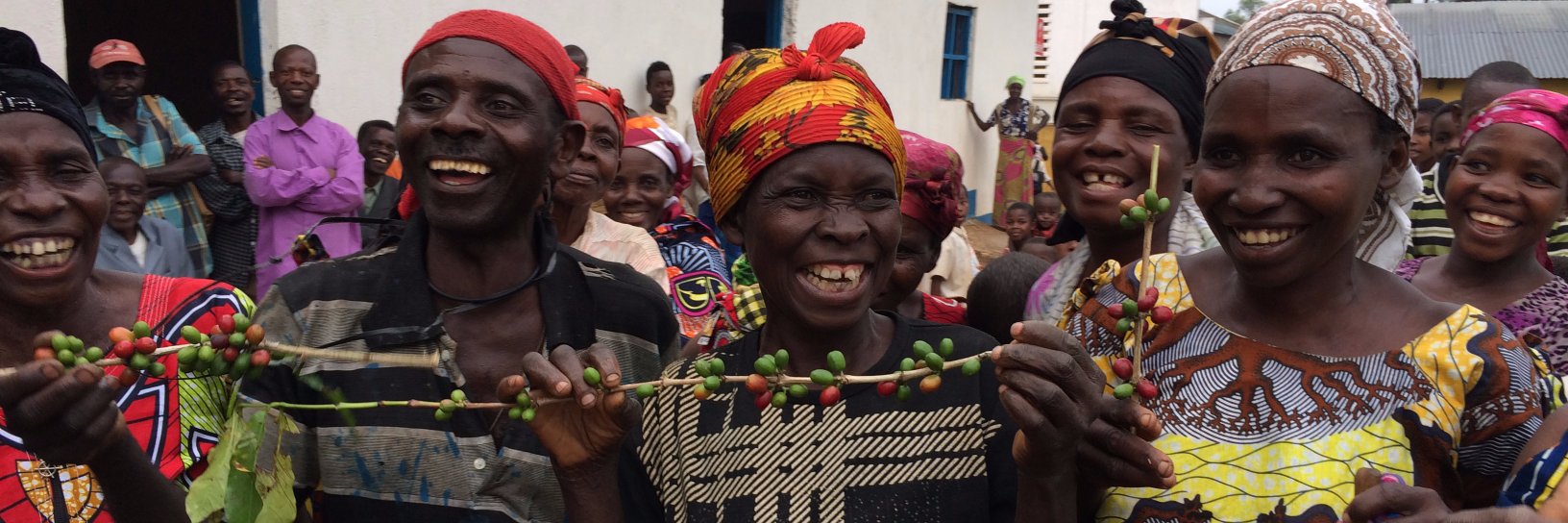 On The Ground banner