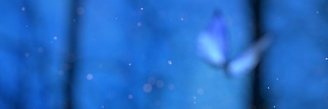 solemoo banner