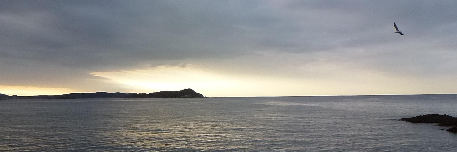 Poursepanouir's profile banner image