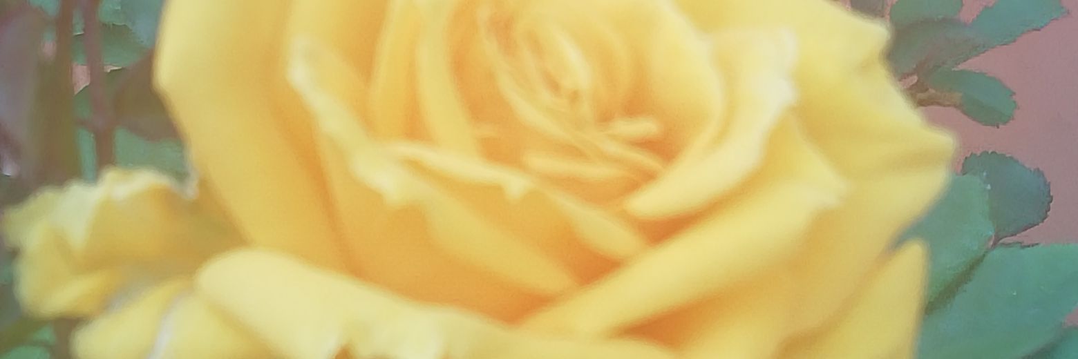 CSimoAndreu's profile banner image
