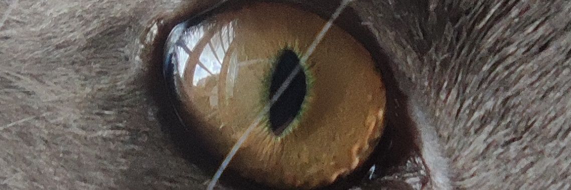 straticoluciano's profile banner image
