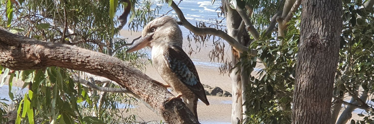 AussieYob's profile banner image