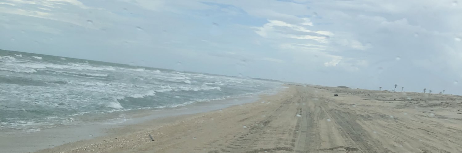 netexx's profile banner image