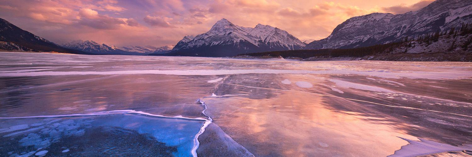 Brett Freeman banner