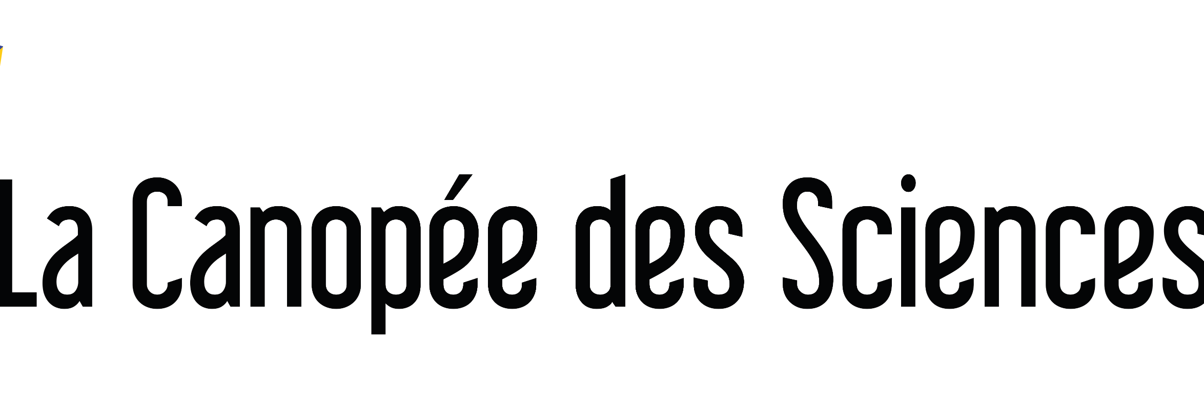 ccsti973's profile banner image