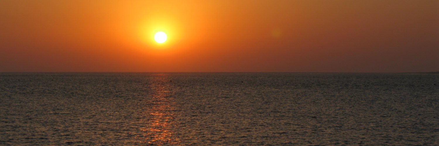 RafaLBowie's profile banner image