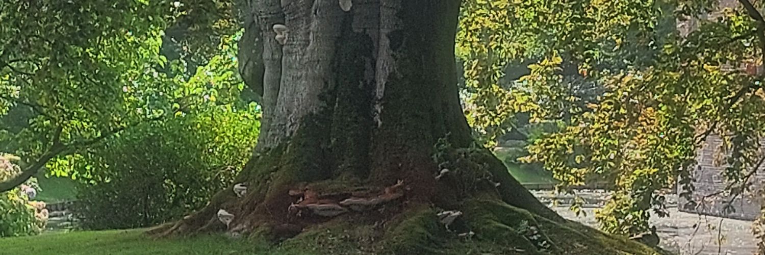 woutdekabout's profile banner image