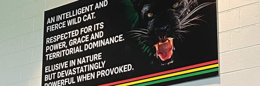 Mojo_cornick's profile banner image