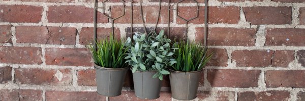 Grow_40 Profile Banner