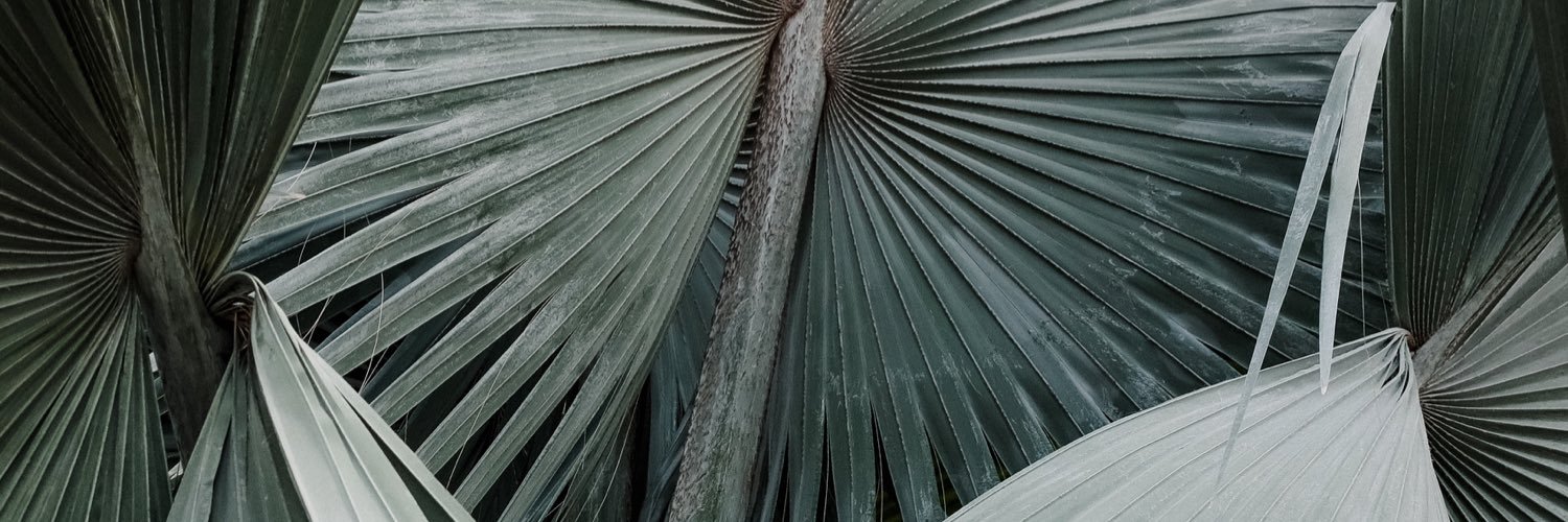 Victoria Wright banner