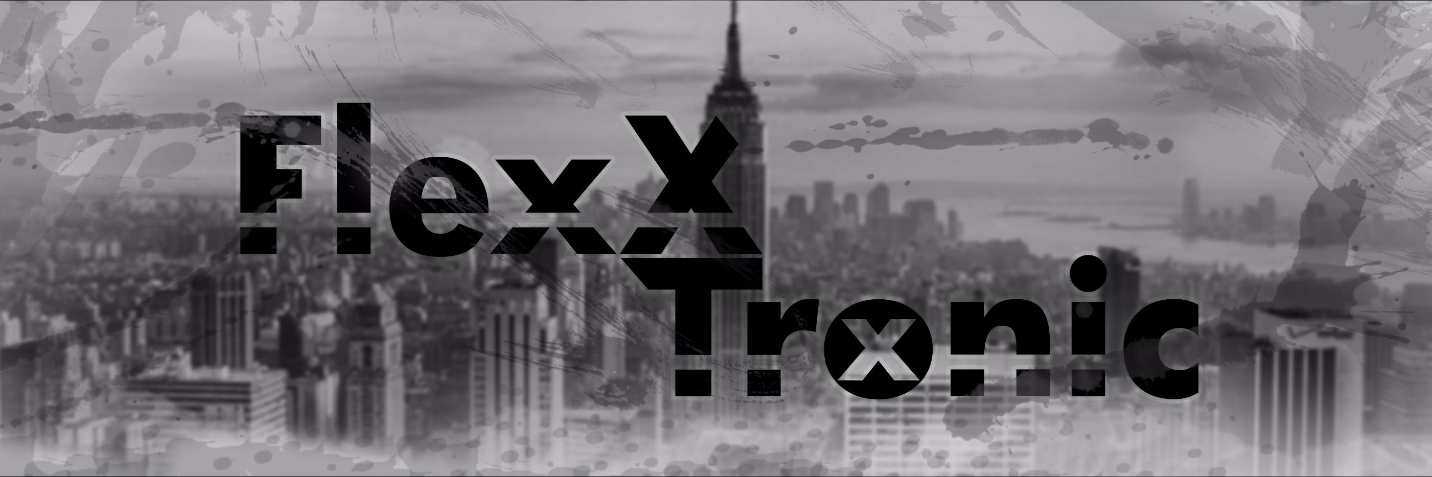 FlexXTronic banner