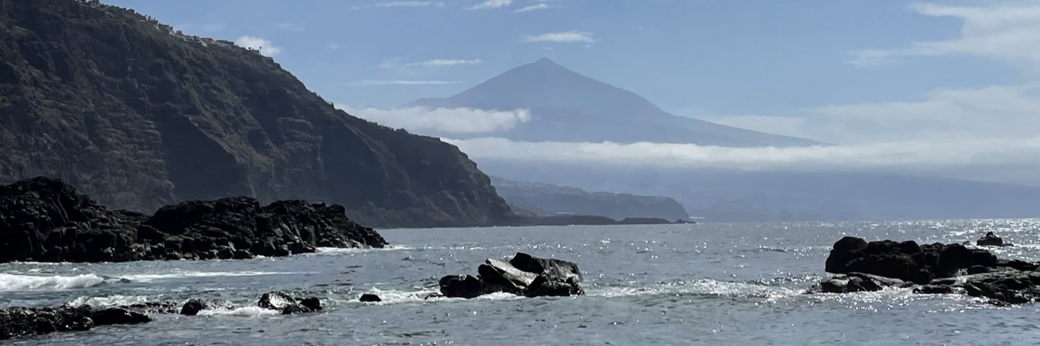 Alicia Álvarez González banner