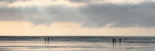 neilabacon's profile banner image