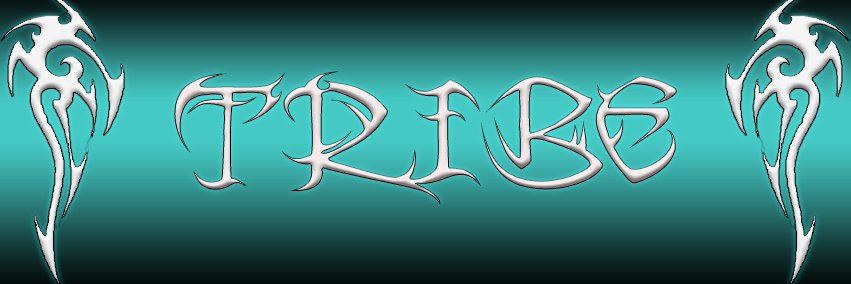 TribeQuidditch's profile banner image