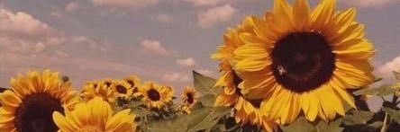 aubb614's profile banner image