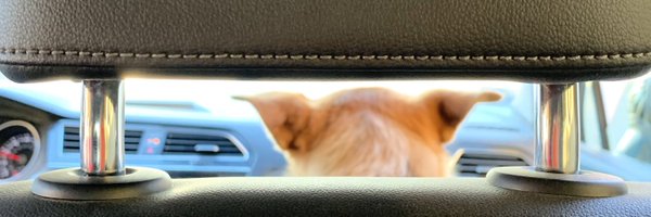 CodySasek Profile Banner