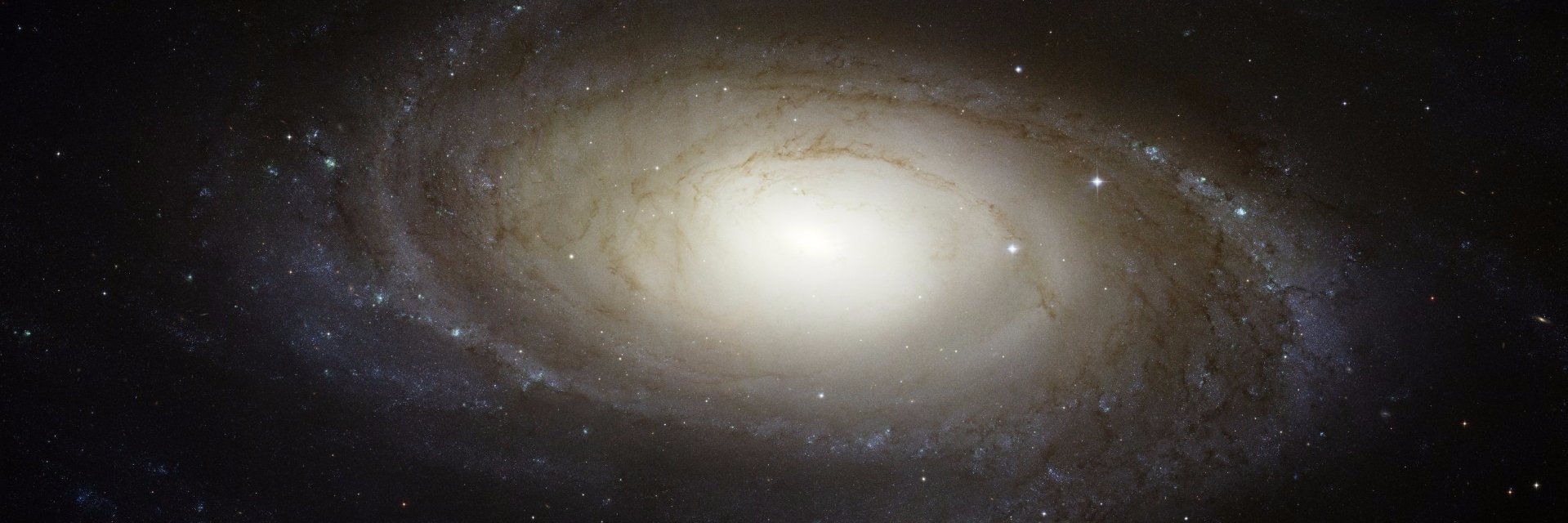 CVHS Science Dept banner