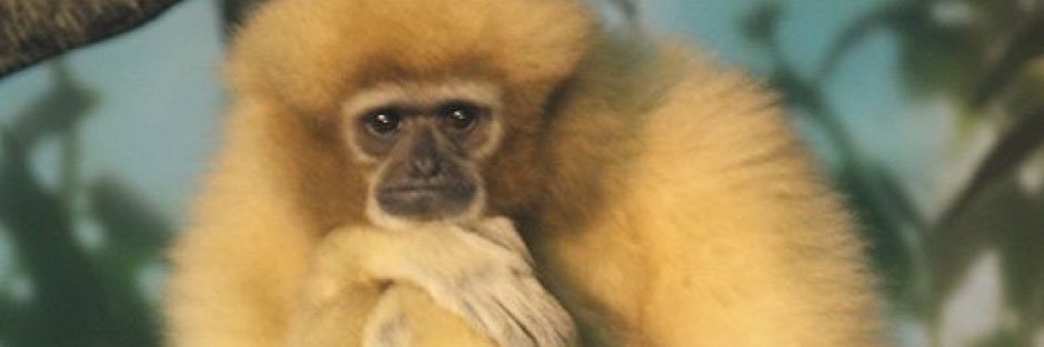 blurazbri's profile banner image