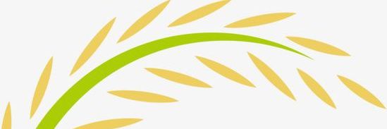 Pglicet's profile banner image