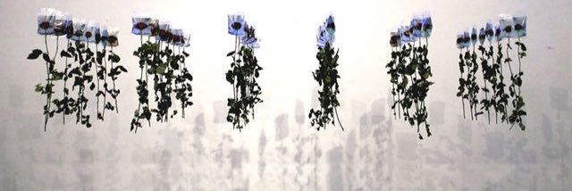 a__tsf__x's profile banner image