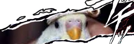 LiquidLumbert's profile banner image