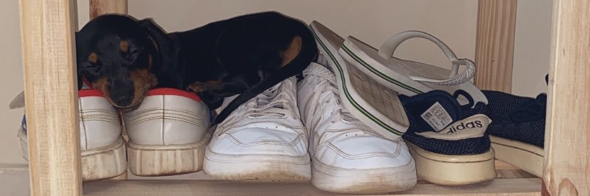 maiaranik's profile banner image