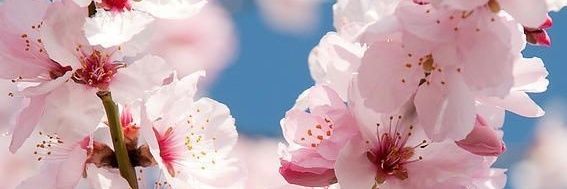 JessieChan22's profile banner image