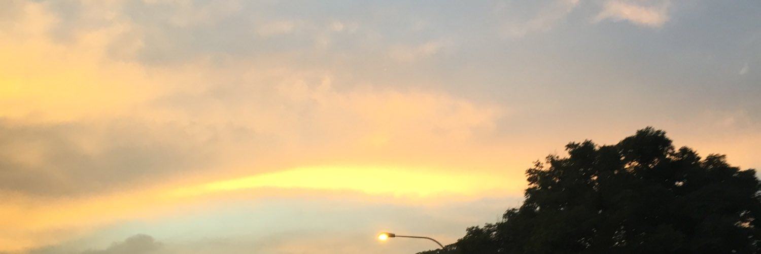 ngjoleneee's profile banner image