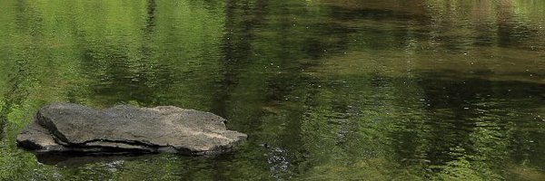 FiveMeadows Profile Banner