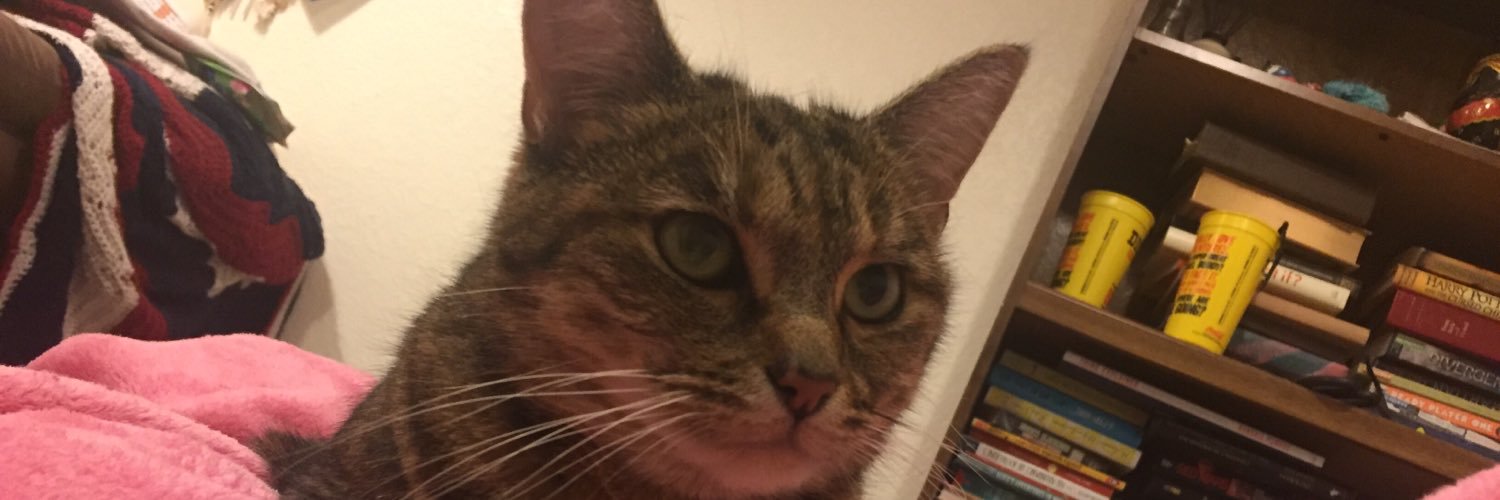 foiledfeline's profile banner image