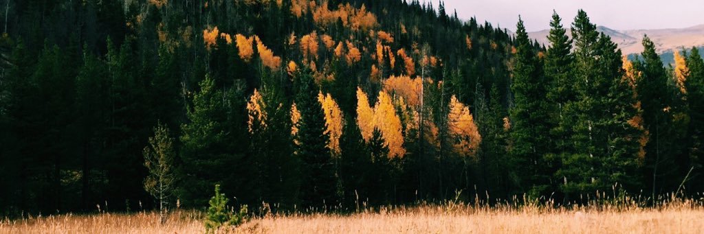 josieeeeko's profile banner image