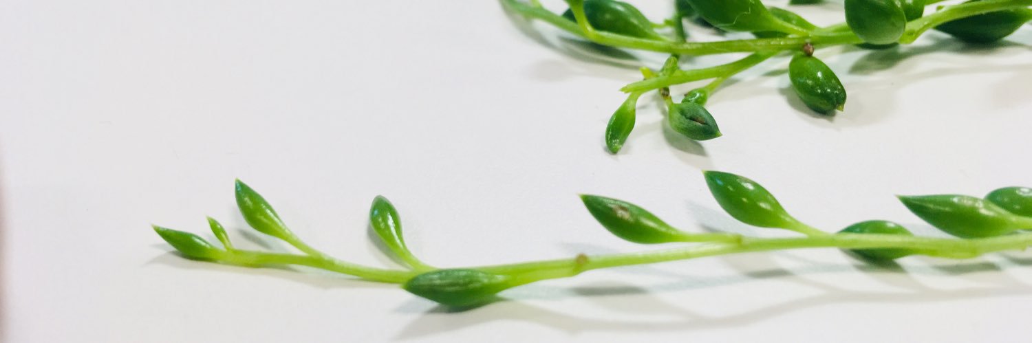 aimeecrossland's profile banner image