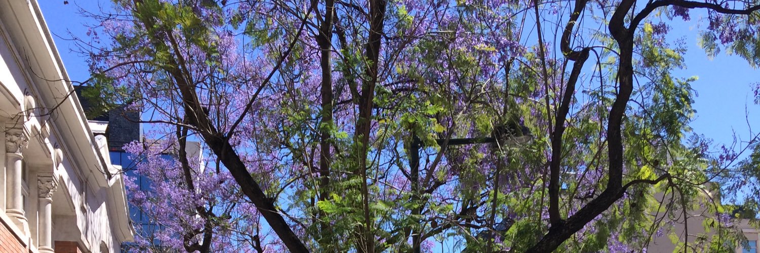 floacostaa's profile banner image