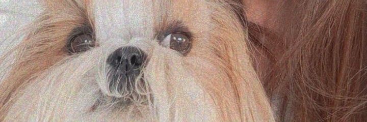 katialorinha's profile banner image
