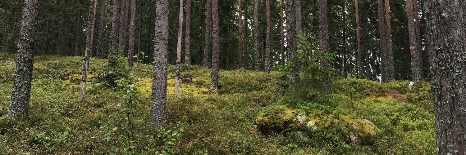 fridelgreen's profile banner image