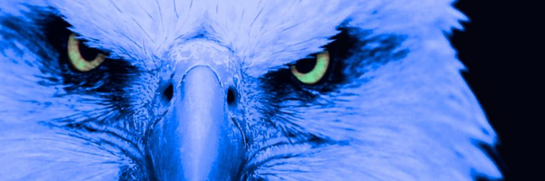 STP_Eagles Profile Banner