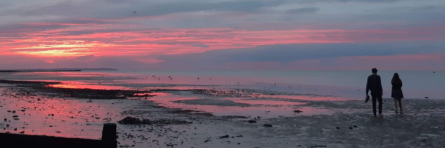 Mollie Etheridge banner