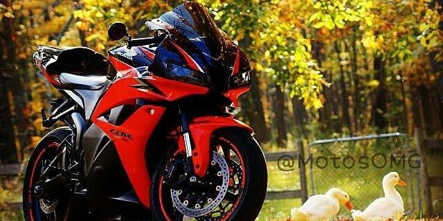 FuLeo1522's profile banner image