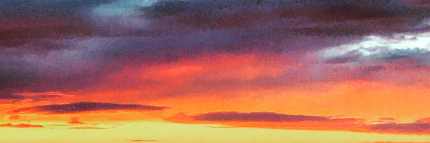 Jake Ellacott banner