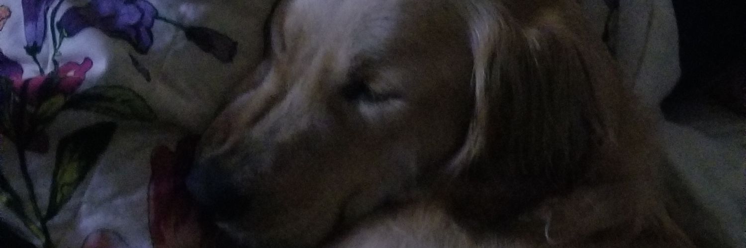 danLreeves's profile banner image
