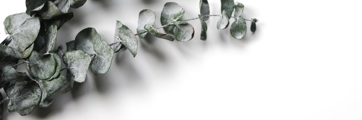 c0smic_elf's profile banner image