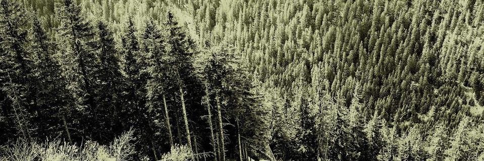 GrymUpNorth's profile banner image
