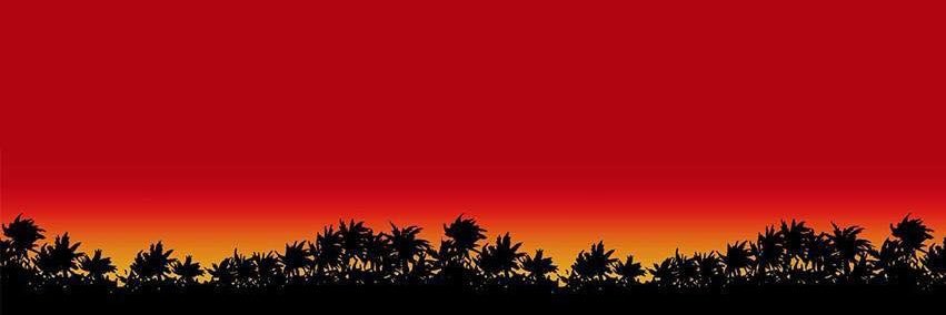 Georgieharo's profile banner image