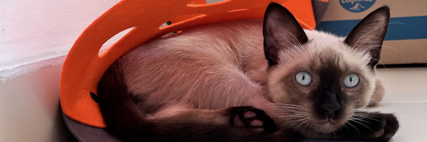keinn10's profile banner image