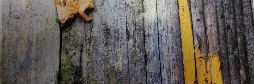 n_simonin's profile banner image